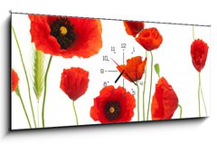 Obraz s hodinami 1D panorama - 120 x 50 cm F_AB16302872 - red poppies over white background - floral design element