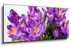 Obraz s hodinami 1D panorama - 120 x 50 cm F_AB16489898 - crocus flower - krokus květina