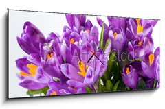 Obraz s hodinami 1D panorama - 120 x 50 cm F_AB16489898 - crocus flower