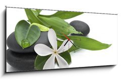 Obraz s hodinami   Stones with green leafs and white flower, 120 x 50 cm