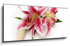 Obraz s hodinami 1D panorama - 120 x 50 cm F_AB16841573 - Lily