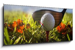 Obraz s hodinami 1D panorama - 120 x 50 cm F_AB16911245 - Golf club and ball in grass - Golfov klub a m v trv
