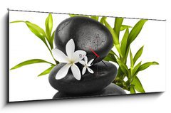 Obraz s hodinami 1D panorama - 120 x 50 cm F_AB16965002 - Spa still life on white background