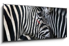 Obraz s hodinami   zebras, 120 x 50 cm