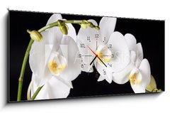 Obraz s hodinami   Orchid on black background, 120 x 50 cm