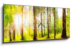 Obraz s hodinami 1D panorama - 120 x 50 cm F_AB178083347 - Beautiful forest panorama with big trees and bright sun - Krásné lesní panorama s velkými stromy a jasné slunce