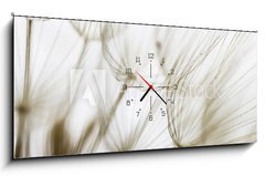 Obraz s hodinami 1D panorama - 120 x 50 cm F_AB180759298 - Dandelion seed closeup