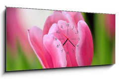 Obraz s hodinami   tulip, 120 x 50 cm