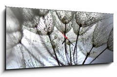 Obraz s hodinami 1D panorama - 120 x 50 cm F_AB196228684 - TARAXACUM. DIENTE DE LEN, SEMILLAS EN DISPERSIN, POLINIZACIN.