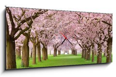 Obraz s hodinami 1D panorama - 120 x 50 cm F_AB19656458 - Kirschgarten in voller Bl te