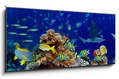 Obraz s hodinami 1D panorama - 120 x 50 cm F_AB196736176 - colorful wide underwater coral reef panorama banner background with many fishes turtle and marine life / Unterwasser Korallenriff breit Hintergrund