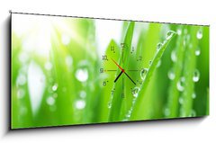 Obraz s hodinami 1D panorama - 120 x 50 cm F_AB19883892 - Fresh Green Grass