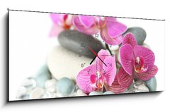 Obraz s hodinami 1D panorama - 120 x 50 cm F_AB19964009 - Orchid laying on stones