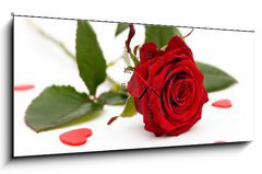 Obraz s hodinami 1D panorama - 120 x 50 cm F_AB2008228 - red rose