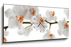 Obraz s hodinami 1D panorama - 120 x 50 cm F_AB201049079 - Orchid branch with flowers - Větev orchideje s květinami