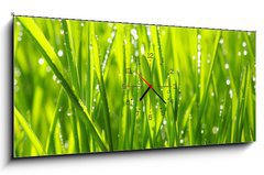 Obraz s hodinami   grass, 120 x 50 cm