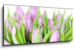 Obraz s hodinami 1D panorama - 120 x 50 cm F_AB20187394 - Violet tulips isolated on white background