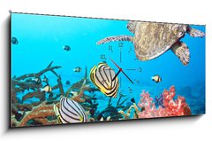 Obraz s hodinami   Butterflyfishes and turtle, 120 x 50 cm