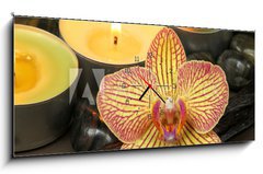 Obraz s hodinami   Orchid and vanilla in spa therapy, 120 x 50 cm