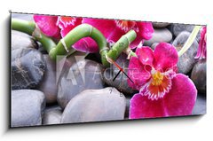 Obraz s hodinami 1D panorama - 120 x 50 cm F_AB20850599 - Orchideenbl ten auf Kieselsteinen