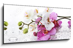 Obraz s hodinami 1D panorama - 120 x 50 cm F_AB212597911 - Beyaz ve Pembe Orkide Panoramik