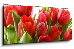Obraz s hodinami 1D panorama - 120 x 50 cm F_AB21477013 - Tulips from Holland - Tulipány z Holandska