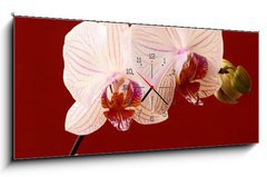 Obraz s hodinami   orchid on red background, 120 x 50 cm