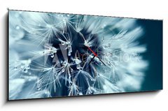 Obraz s hodinami 1D panorama - 120 x 50 cm F_AB218536991 - Macro shot of dandelion with water drops