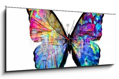 Obraz s hodinami   multicolored butterfly isolated on white background, 120 x 50 cm