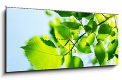 Obraz s hodinami 1D panorama - 120 x 50 cm F_AB23167480 - Green leaves with sun ray