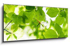 Obraz s hodinami 1D panorama - 120 x 50 cm F_AB23178335 - beech