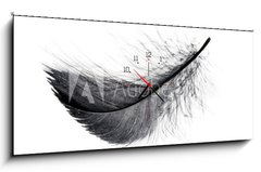 Obraz s hodinami 1D panorama - 120 x 50 cm F_AB234006556 - Single black floating feather on white background.