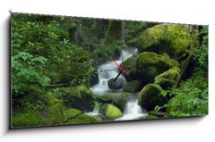 Obraz s hodinami 1D panorama - 120 x 50 cm F_AB23470543 - Mossy waterfall