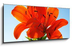Obraz s hodinami 1D panorama - 120 x 50 cm F_AB23863543 - two lilies
