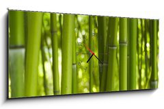 Obraz s hodinami 1D panorama - 120 x 50 cm F_AB24255297 - Bambus Bamboo 06