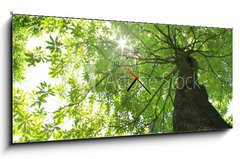 Obraz s hodinami 1D panorama - 120 x 50 cm F_AB24415772 - The natural - Prodn