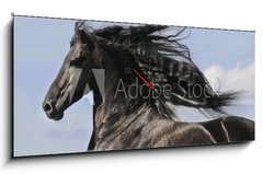 Obraz s hodinami 1D panorama - 120 x 50 cm F_AB25113841 - Portrait of moving friesian black horse - Portrt pohybujc se frzskho ernho kon