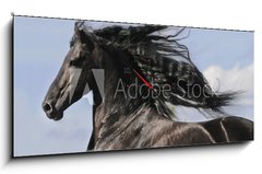 Obraz s hodinami   Portrait of moving friesian black horse, 120 x 50 cm