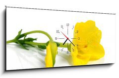 Obraz s hodinami 1D panorama - 120 x 50 cm F_AB25236816 - evening primrose