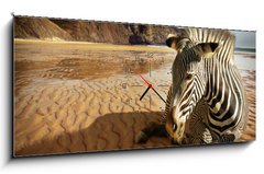 Obraz s hodinami   Beach Zebra, 120 x 50 cm