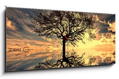 Obraz s hodinami   mystic moments, 120 x 50 cm