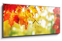 Obraz s hodinami   beautiful colorful autumn leaves in the park, 120 x 50 cm