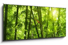 Obraz s hodinami 1D panorama - 120 x 50 cm F_AB25655777 - Bamboo forest.