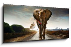 Obraz s hodinami   Walking Elephant, 120 x 50 cm