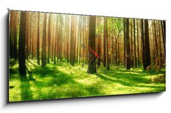 Obraz s hodinami   Misty Old Forest, 120 x 50 cm