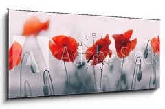 Obraz s hodinami 1D panorama - 120 x 50 cm F_AB258336158 - Red poppy flowers isolated on gray background.