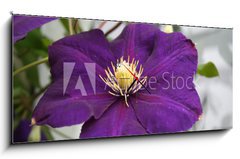 Obraz s hodinami 1D panorama - 120 x 50 cm F_AB2618623 - violet flower