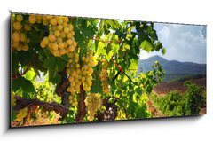 Obraz s hodinami 1D panorama - 120 x 50 cm F_AB26481965 -