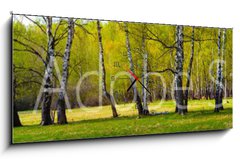 Obraz s hodinami 1D panorama - 120 x 50 cm F_AB267520361 - Birch grove on a sunny day.
