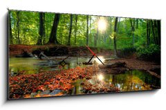 Obraz s hodinami 1D panorama - 120 x 50 cm F_AB26798105 - Autumn forrest